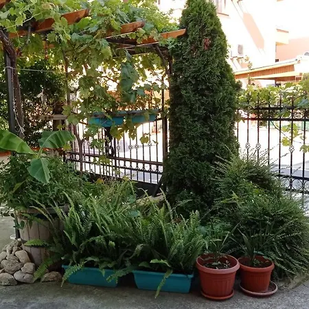 Desi House 101 Cozy شقة نيسيبار